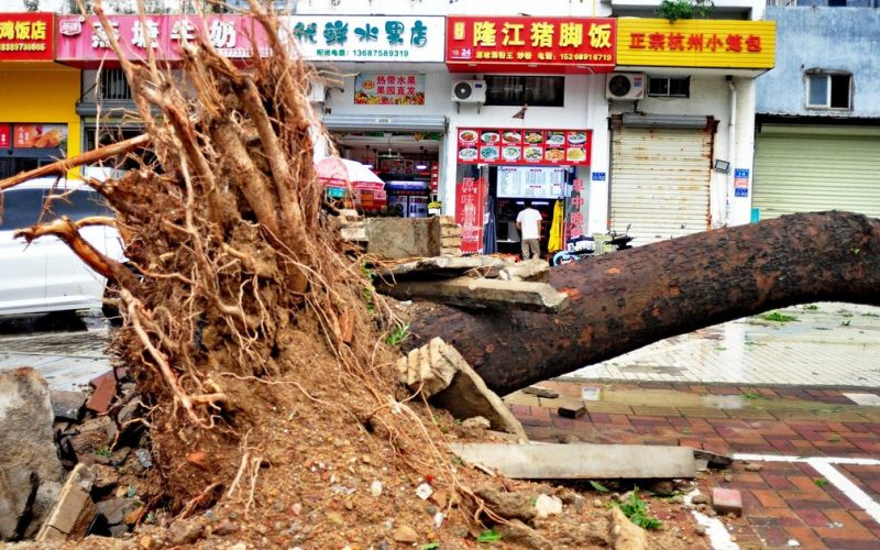 Туристы поделились впечатлениями о тайфуне на острове Хайнань: дом трясся, из унитаза потекла вода